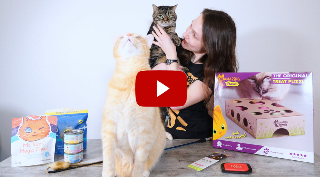 YouTube Video on 2022 Favorite Products by All About Cats 